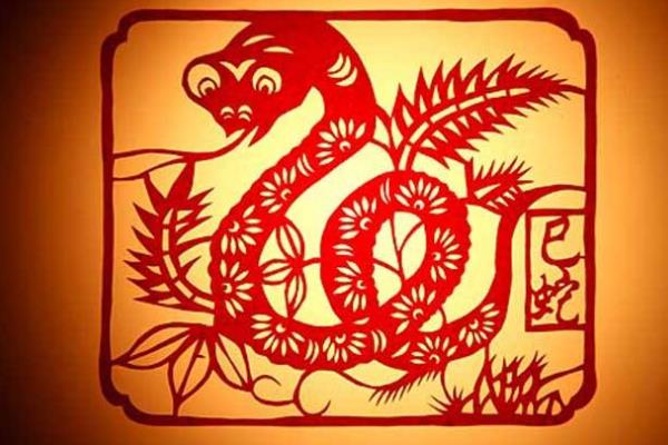 不同蛇年出生的人是什么蛇 生肖蛇不同年轮特点