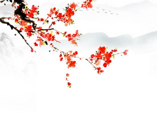 2020鼠年生肖属鸡人的桃花运好不好，要怎么提升桃花运
