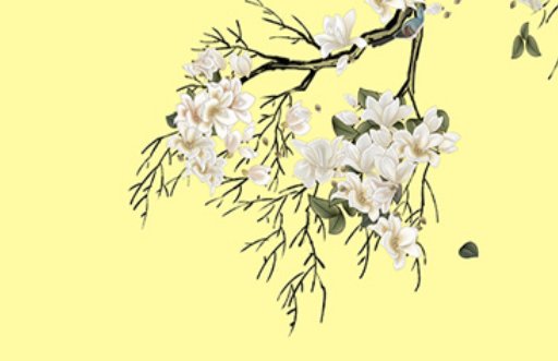 名字里有辰字好不好 辰字周易五行分析
