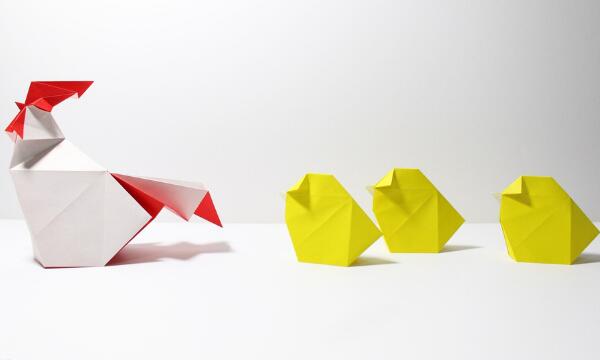 属鸡的今年多大2019 整体运势解析