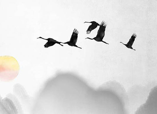 1612536342768181.jpg 2019-11-24_111459.jpg