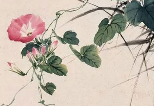 女孩叫蕾好吗 最后一个字是蕾的名字