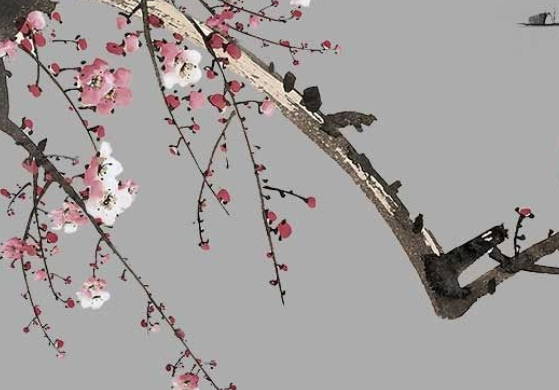 生肖属龙妈妈2020年适合生鼠宝宝吗