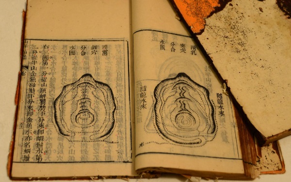 四季出生属鼠人的性格如何 包含四季的性格特点