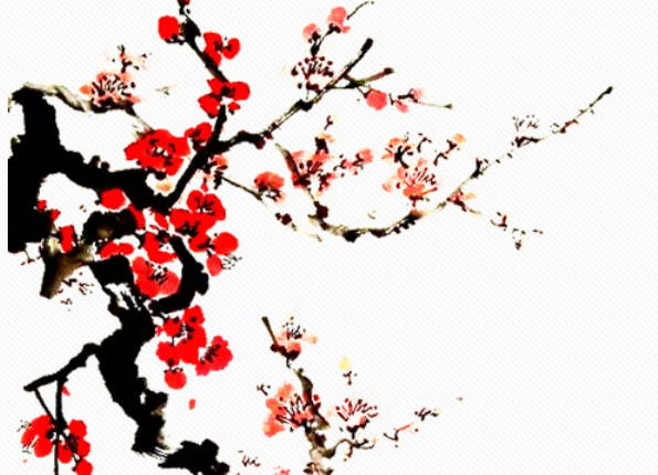生肖属龙爸爸和什么生肖属相的孩子是三合，六合