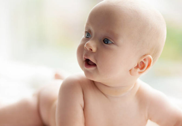 2019猪年除夕出生的男孩起什么名字好,五行属什么