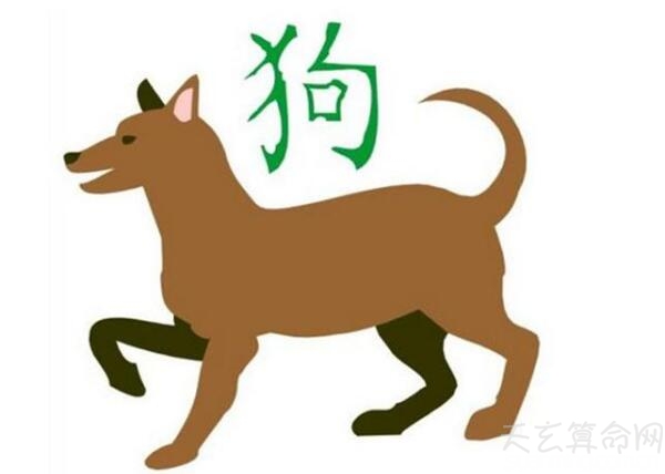 生肖屬豬與屬狗的婚姻配對(duì) 比較契合