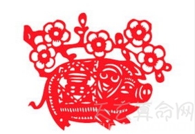 2019年猪本命年能结婚吗 属猪的本命年解析