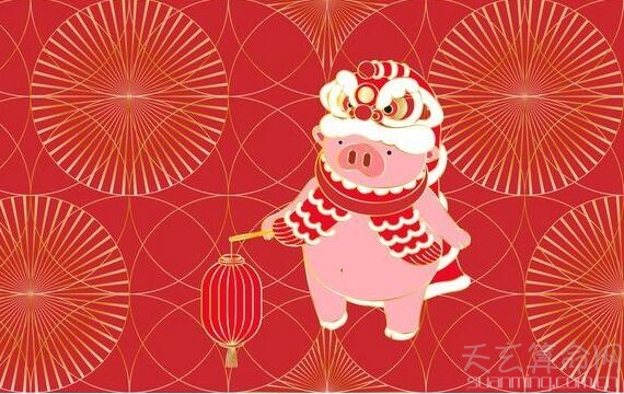 不同年份属猪人2019运势简析 2007年出生的属猪人第一个本命年