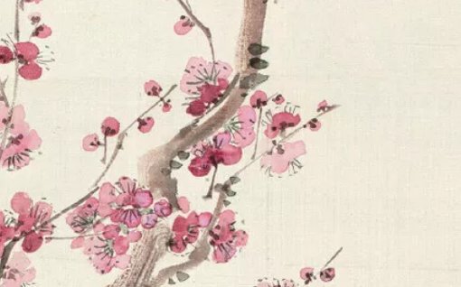 2020年6月21号五月初一生的男孩命运好吗,取什么名字好