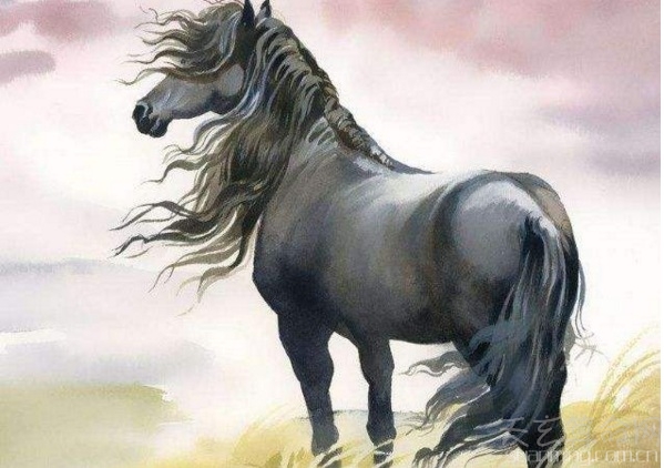 不同月份生肖马的最佳伴侣 属马的最佳配偶