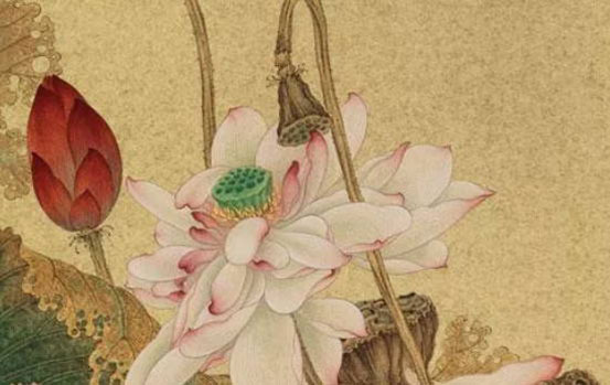 生肖属兔的哪几个月出生最好，正月二月七月都非常不错