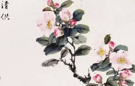 2020年9月生肖属虎运势,各方面运势均衡发展