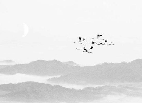 1615882551533951.jpg 2019-11-18_182938.jpg