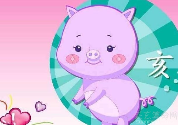 属猪2019年生肖运势详解 生肖猪2019本命年有很大挖掘潜能
