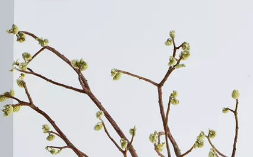 2020年7月2号五月十二生的男孩命运好吗,如何起名字