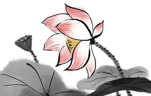 女孩取名带芬字 芬字配什么做名字好