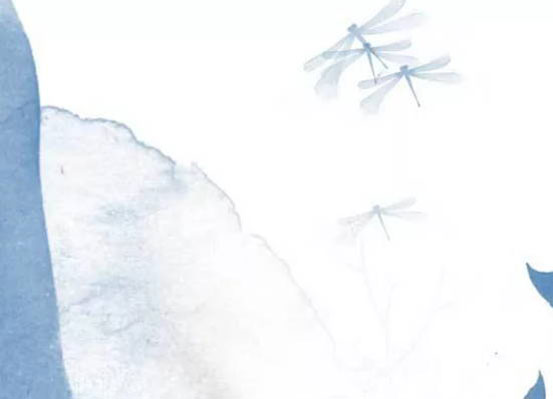生肖属兔的爸爸和什么生肖属相的孩子是六合，兔和狗是六合
