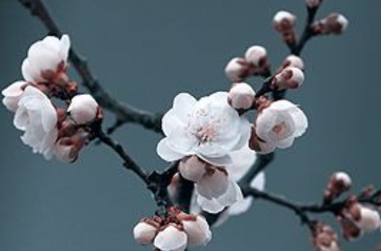 2020年3月11号出生的男孩八字取名字，五行属什么