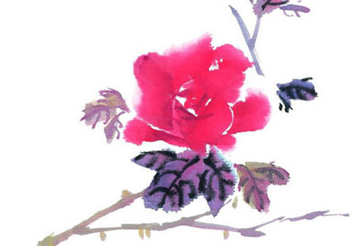 女孩叫菊好吗 最后一个字是菊的名字