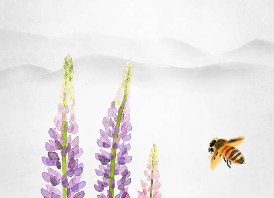 2020年1月28号出生的男孩怎么取名字，结合五行起名
