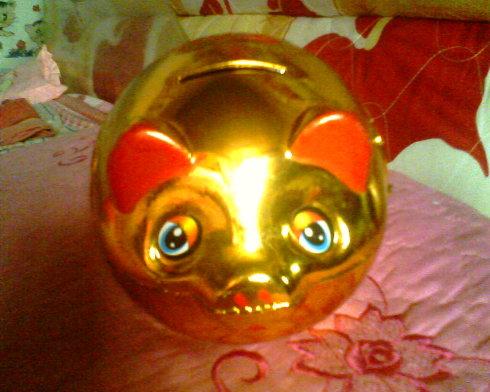 金猪五行属金吗 金猪五行属土