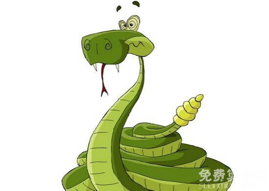 属蛇的性格很要强，做什么事情都会很成功