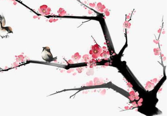 2020年1月17号出生的男孩怎么起名字，结合出生取名