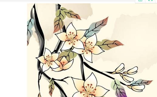 1619573431564430.jpg 2021-04-06_171359.jpg