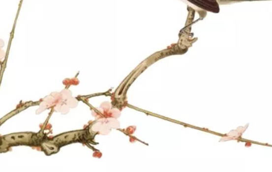  生肖属虎的父母和什么生肖属相的孩子最相合