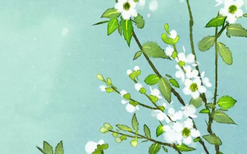 带莉字的女孩名字寓意 莉字取名