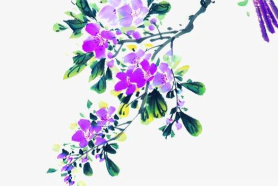 2020年2月18号一月正月二十五出生的男孩命运好吗,起什么名字有福气