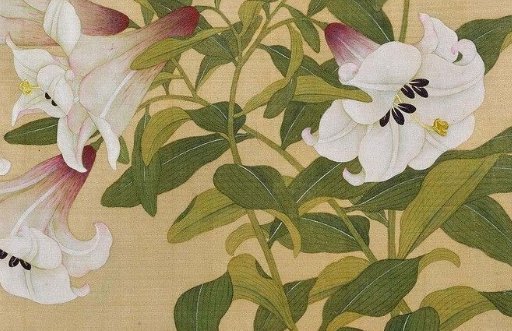 取名网:2021年3月20日出生的女孩名字精选 罕见好听到爆