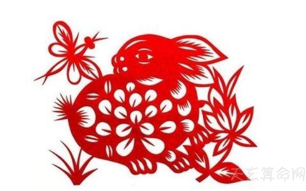 不同年份属兔人2019运势解读 1987年属兔人结婚添丁的好时机