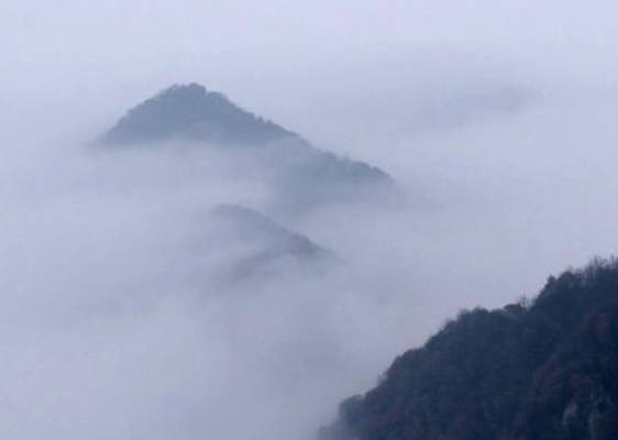 李居明生肖属蛇2020年财运,桃花运分析