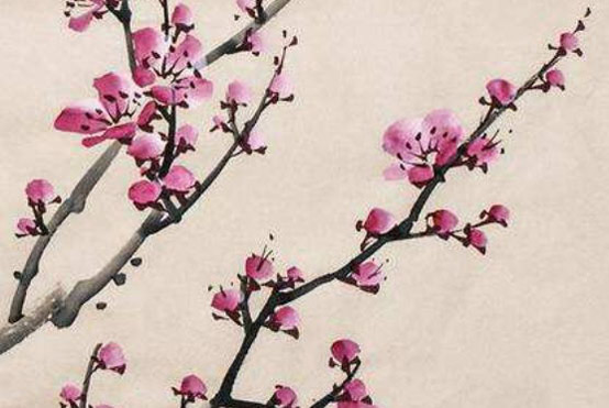 2020年4月9日三月十七生的女孩是什么命,取什么名字涵义好