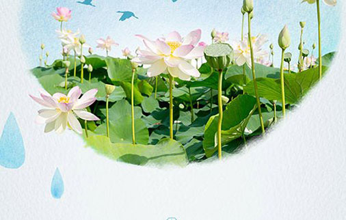 名字中带芳字的含义 芳字取女孩子名字
