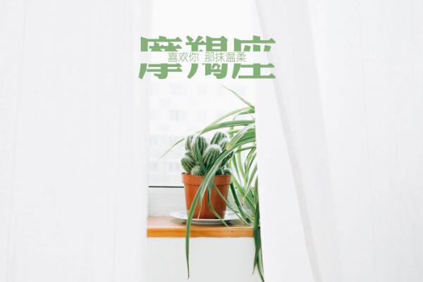  属羊的摩羯座性格特点 适合这几种职业 