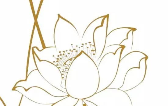 生肖属虎妈妈和生肖属猪爸爸2020年适合要小孩吗，相冲相宜？
