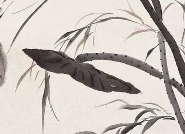 生肖属虎的爸爸和什么生肖属相的孩子相冲，虎与猴、蛇相冲