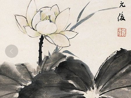 1946年卯时出生的生肖属狗人是什么命,脚踏实地,稳稳当当