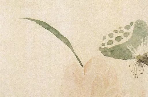 2011年巳时出生的生肖属兔人是什么命,早年奔波,晚年得志
