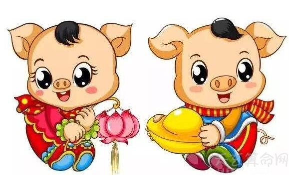 不同年份属猪人2019运势简析 2007年出生的属猪人第一个本命年