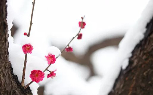 2021年3月2日农历正月十九出生的男孩周易生辰起名字