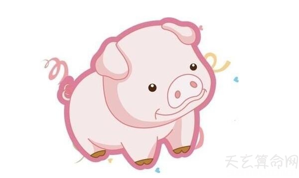 属猪2019年生肖运势详解 生肖猪2019本命年有很大挖掘潜能