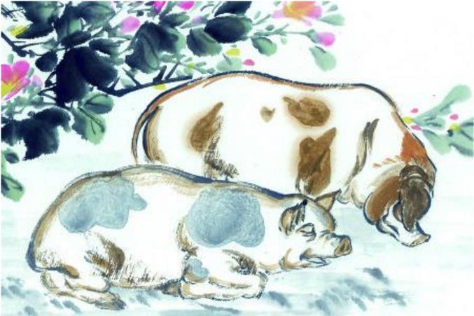 十二生肖的传说之猪，纯属误会