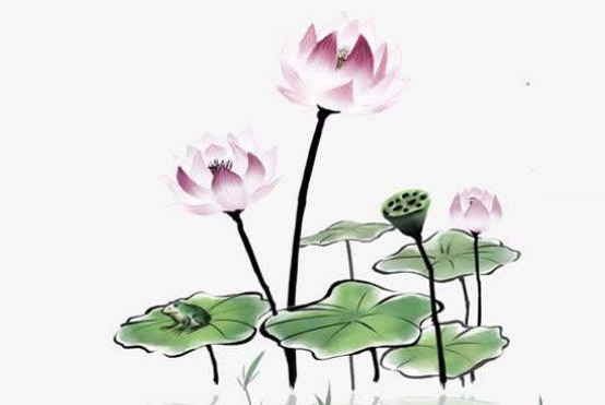 2020年2月1号出生的女孩是什么命,如何起名字吉祥