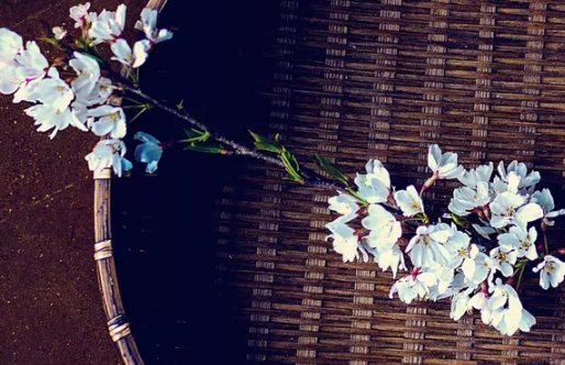 2020年7月13号五月二十三出生的女孩是什么命,起什么名字动听