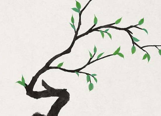 生肖属羊妈妈和生肖属猪爸爸2020年生宝宝好不好
