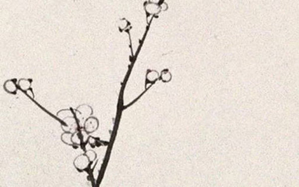 2020-05-08_102724.jpg